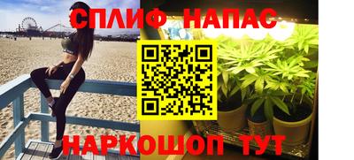 ешки Гагарин