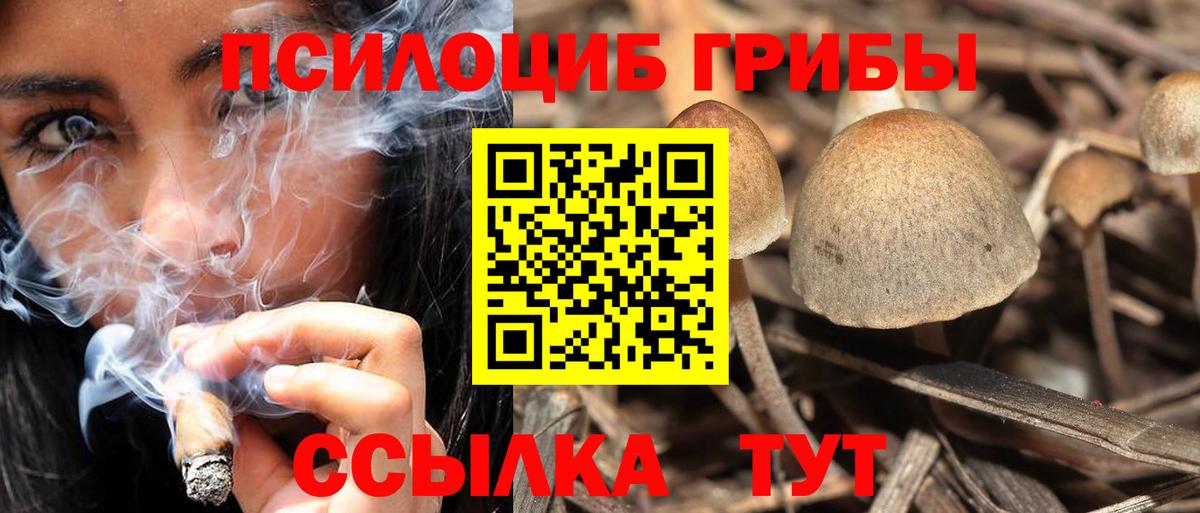 Псилоцибиновые грибы ЛСД Серпухов