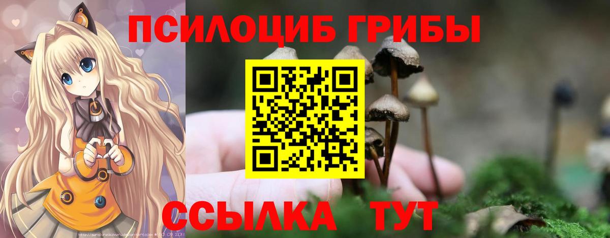 Галлюциногенные грибы Cubensis  Вход с VPN  Серпухов 
