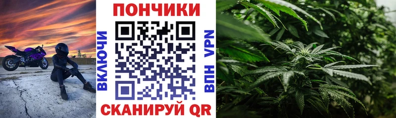 хочу наркоту  Серпухов  Каннабис MAZAR 